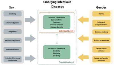 Overlooked sex and gender aspects of emerging infectious disease outbreaks: Lessons learned from COVID-19 to move towards health equity in pandemic response